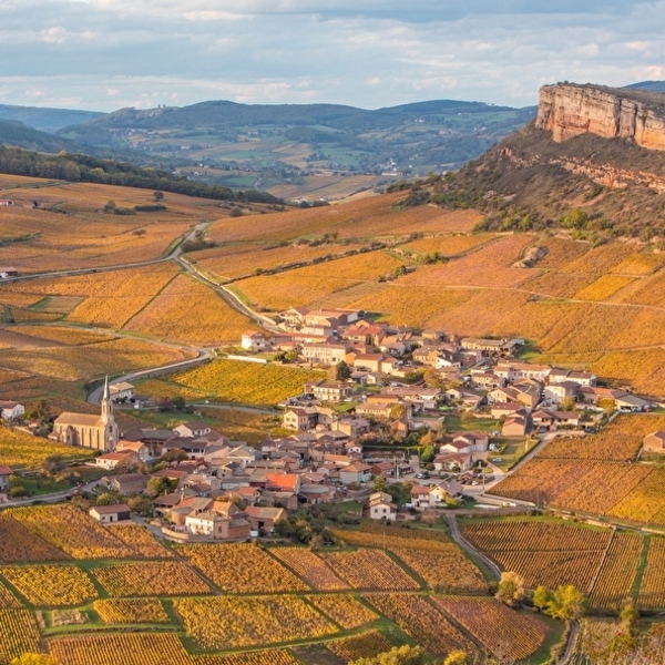 Oenotourisme en Bourgogne-Franche Comté