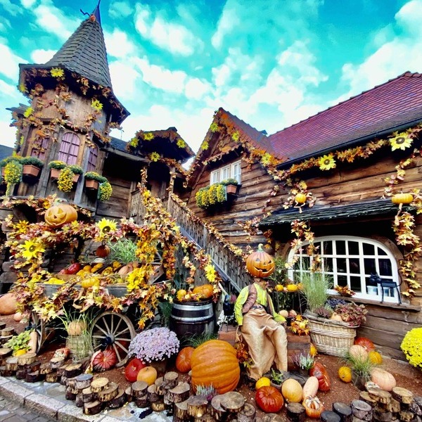 Nigloland, l&rsquo;excellence