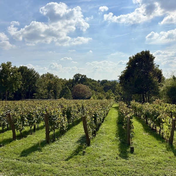 Coulommiers Pays de Brie Tourisme