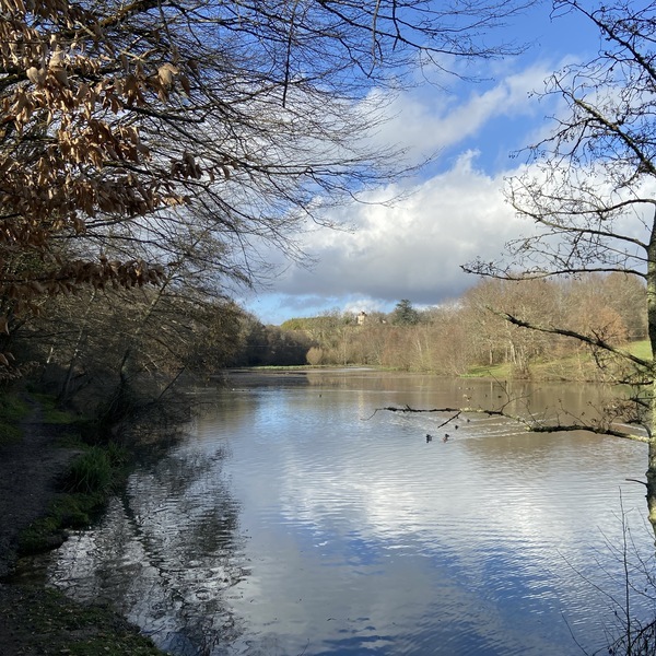 Schéma de développement des hébergements de plein air