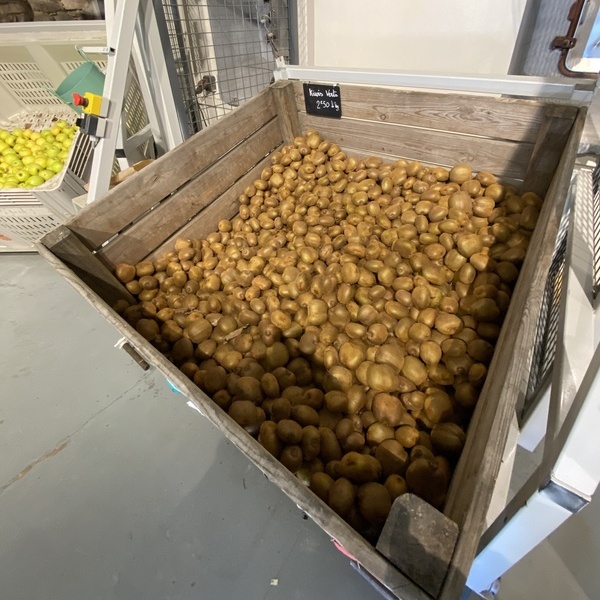 « La Vallée du Kiwi » en Pays d’Orthe et Arrigans