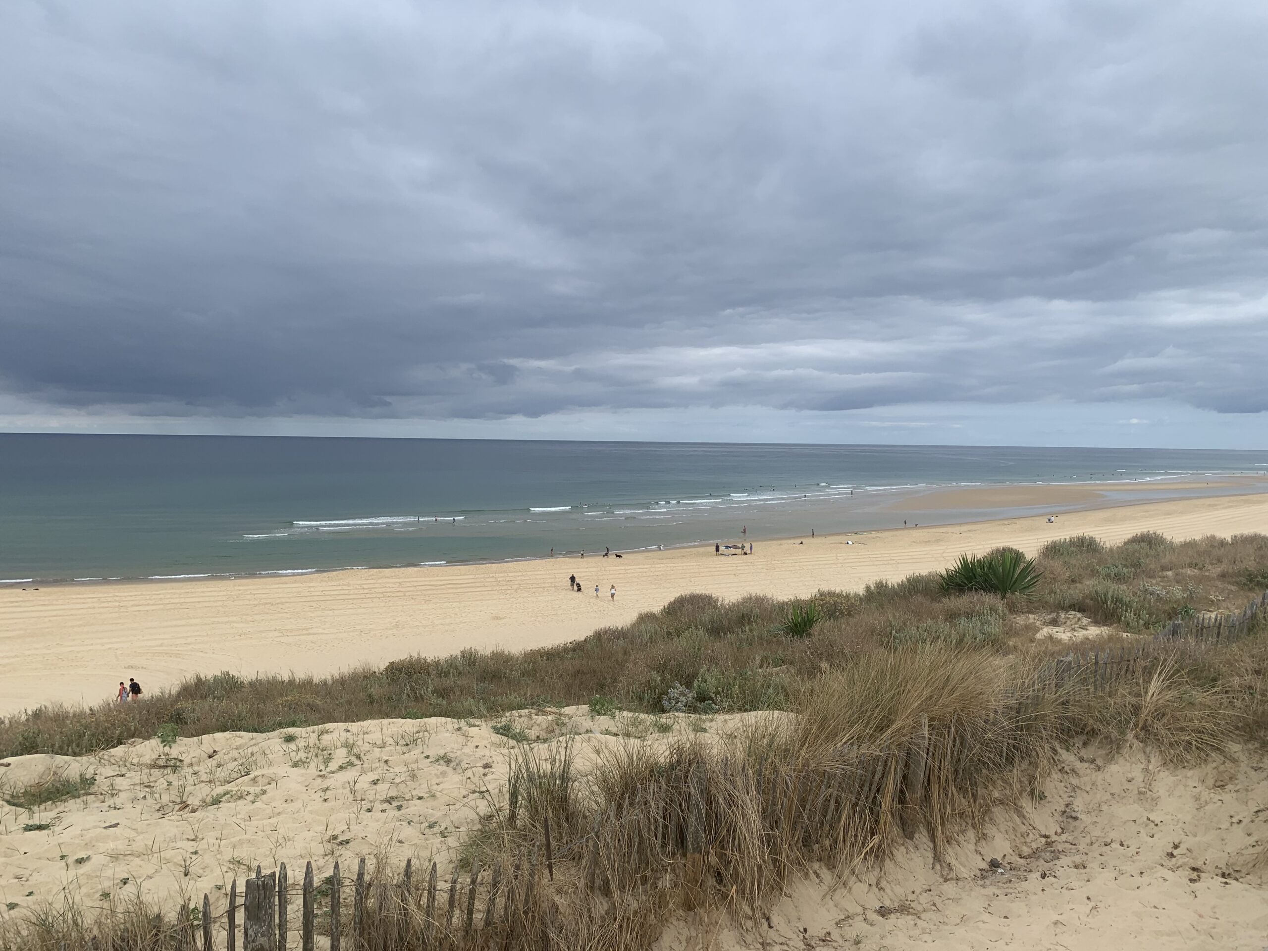 Aménagement durable des plages : évaluation et révision du plan plage de Contis à Saint-Julien-en-Born