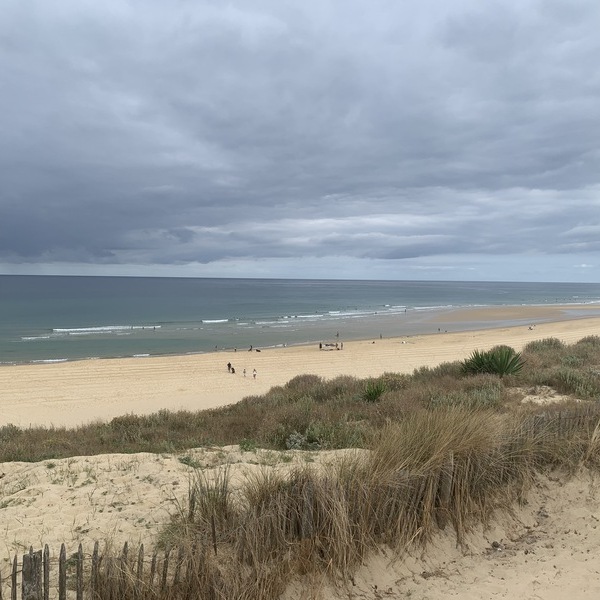 Aménagement durable des plages : évaluation et révision du plan plage de Contis à Saint-Julien-en-Born