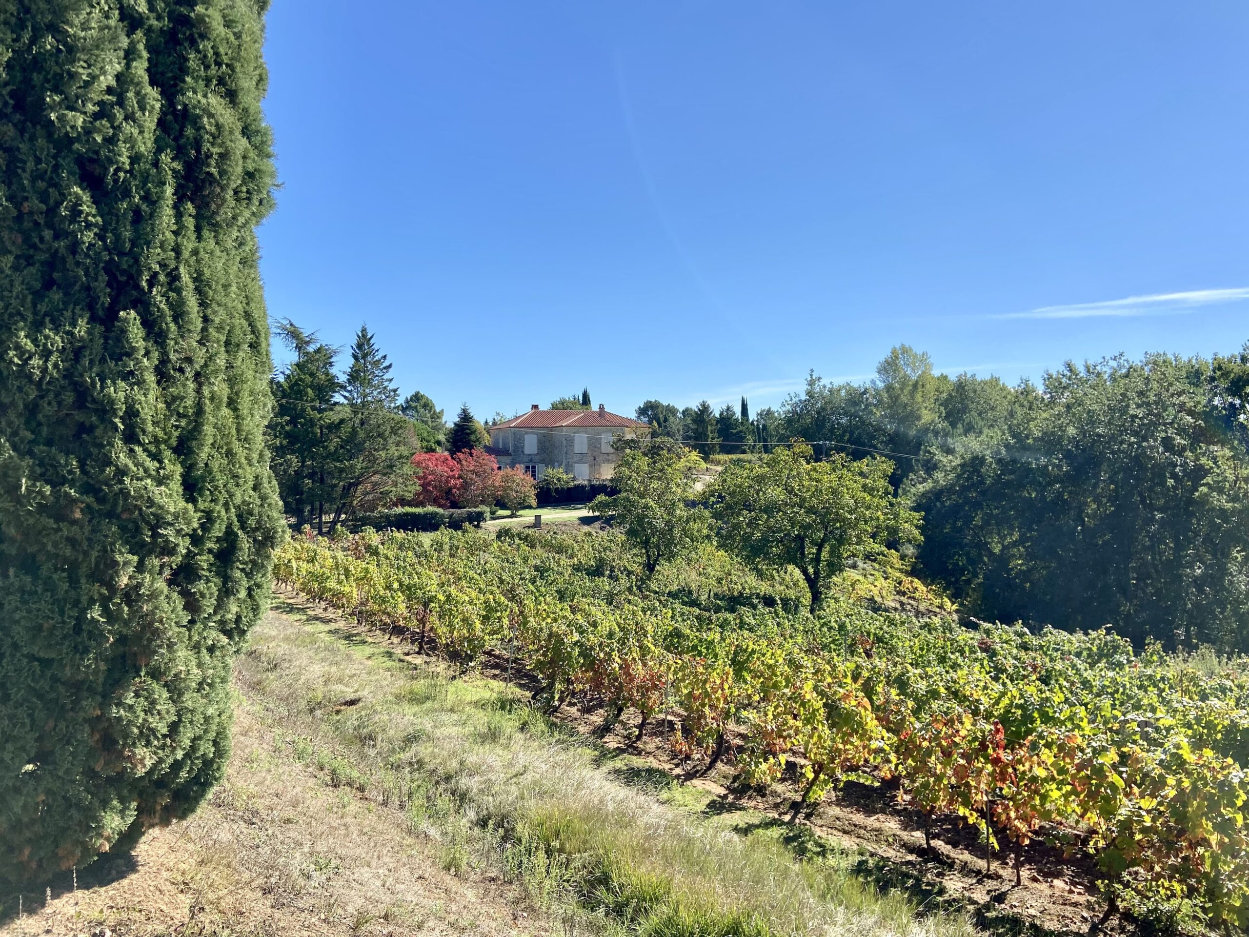 Stratégie de développement de l’œnotourisme du château de Rouffiac
