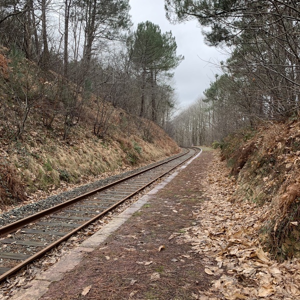 Étude d’impact du produit touristique « la Vapeur du Trieux » au sein de Guingamp-Paimpol Agglomération
