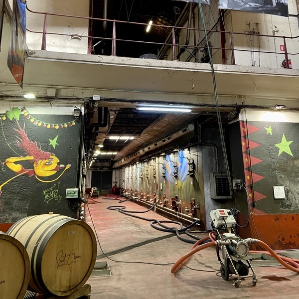 Tourisme et culture à la Cave de Saint-Chinian