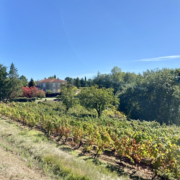 Stratégie de développement de l’oenotourisme du Château de Rouffiac
